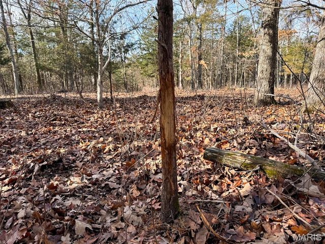 0 Haverstick School Road, Festus, MO 63028