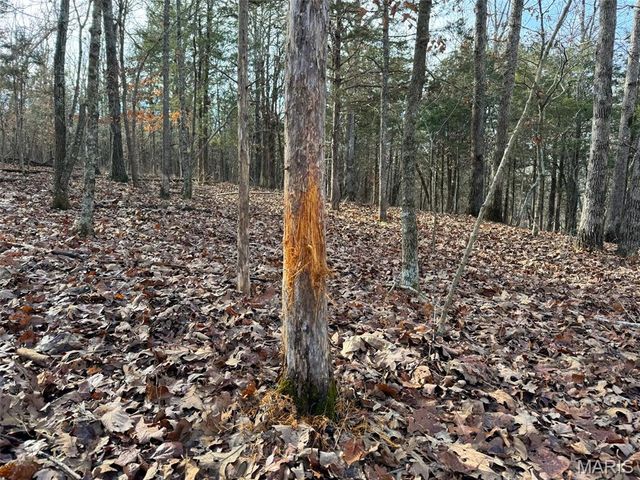 0 Haverstick School Road, Festus, MO 63028