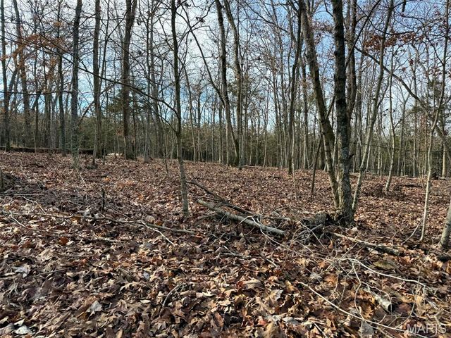 0 Haverstick School Road, Festus, MO 63028