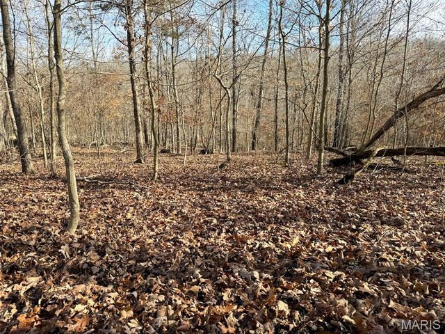 0 Haverstick School Road, Festus, MO 63028