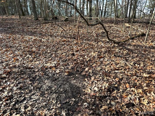 0 Haverstick School Road, Festus, MO 63028