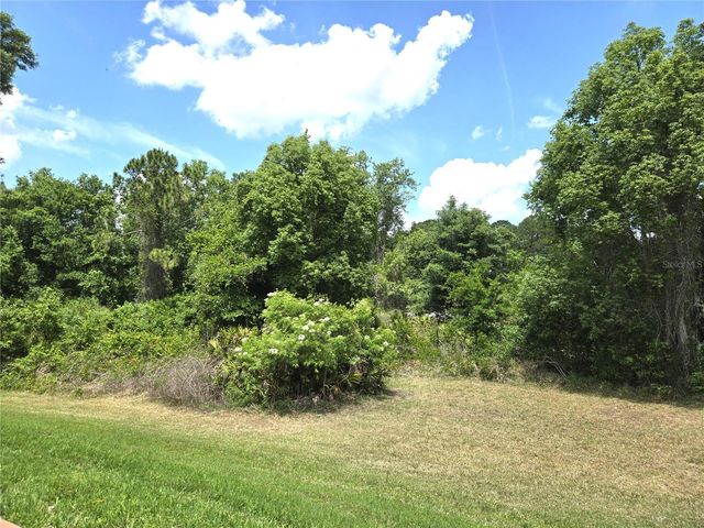 6433 WILANDER STREET, Leesburg, FL 34748