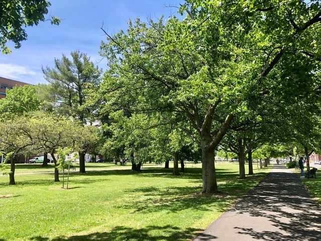 49 Munroe St 406, Lynn, MA 01901