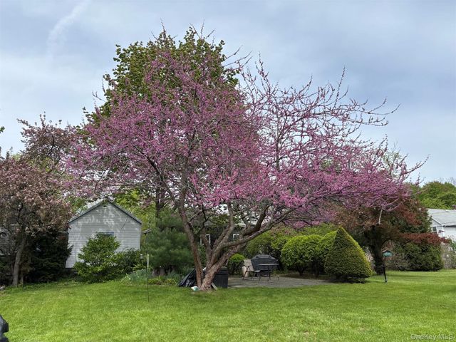 165 Clifton Avenue, Kingston, NY 12401