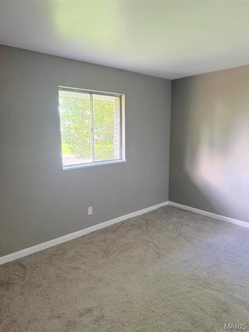 11165 Prentice Drive, St Louis, MO 63136