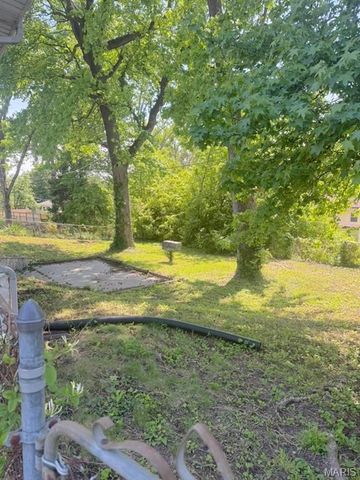 11165 Prentice Drive, St Louis, MO 63136