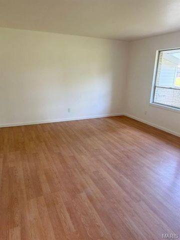 11165 Prentice Drive, St Louis, MO 63136
