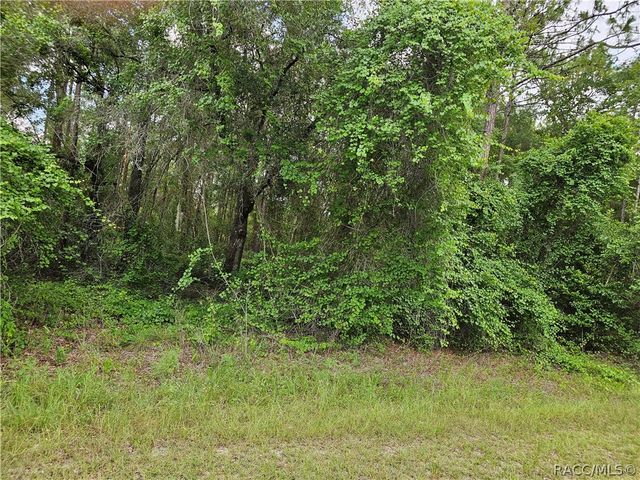 4912 E Cristen Court, Inverness, FL 34452