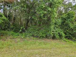 4912 E Cristen Court, Inverness, FL 34452