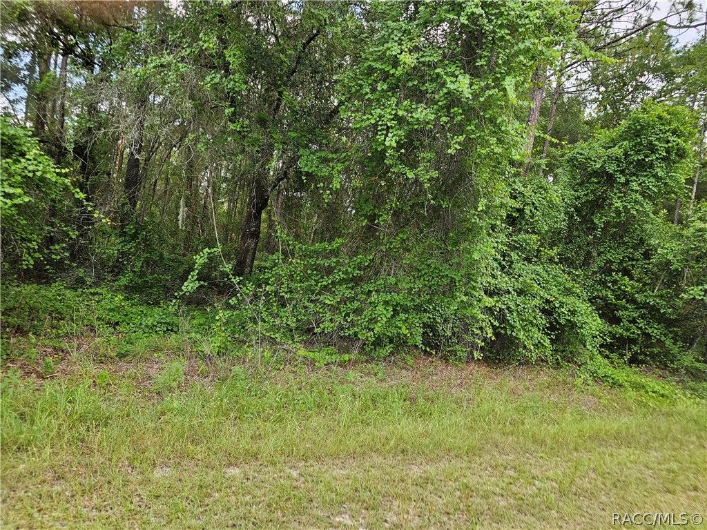 4912 E Cristen Court, Inverness, FL 34452