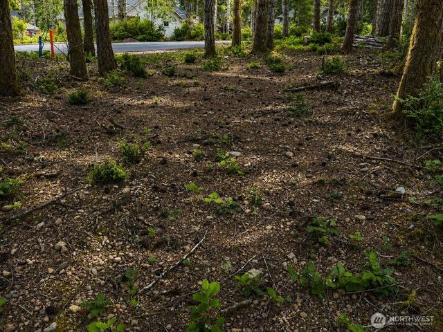 21 E Dogwood Court, Union, WA 98592
