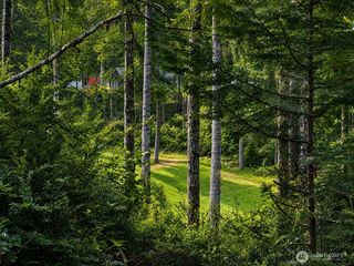 21 E Dogwood Court, Union, WA 98592