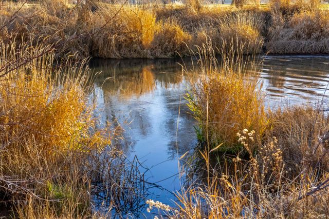 221 SW Meadow Lakes Drive, Prineville, OR 97754