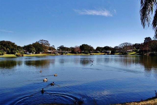 1218 TAYLOR AVE, Dunedin, FL 34698