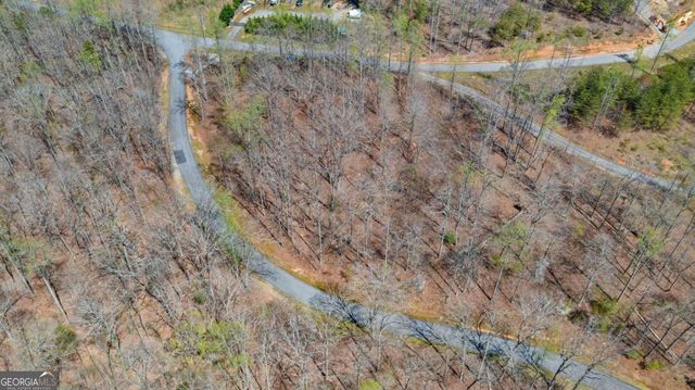 253 N Laceola Road, Cleveland, GA 30528