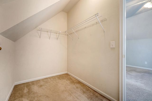 111 Foxglove Avenue, Summerville, SC 29483