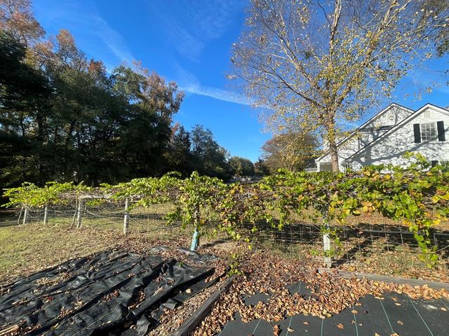 14270 Cross Creek Road, Upatoi, GA 31829