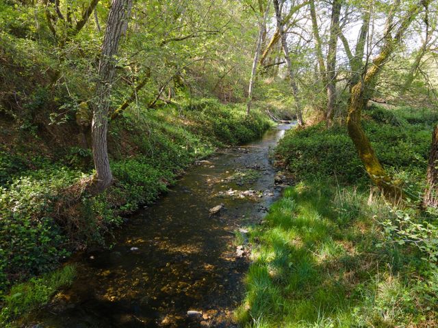 4881 Marshall Rd, Garden Valley, CA 95633