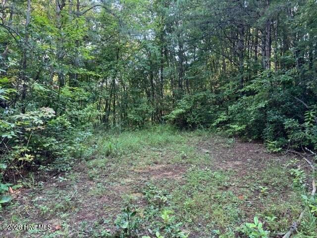 5 Tyler Lane, Marble, NC 28905