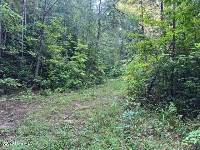 5 Tyler Lane, Marble, NC 28905