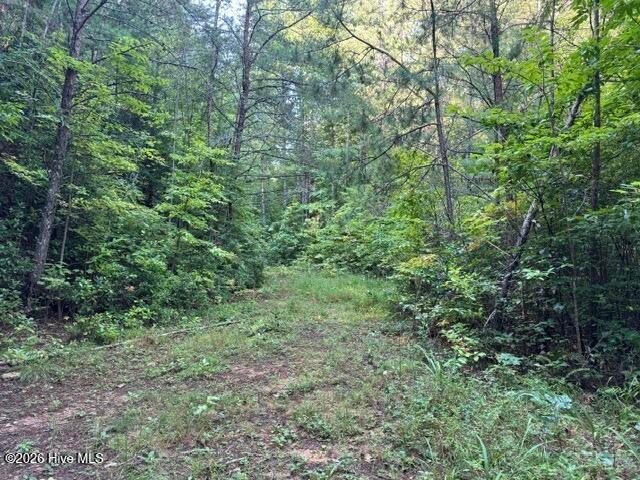 5 Tyler Lane, Marble, NC 28905