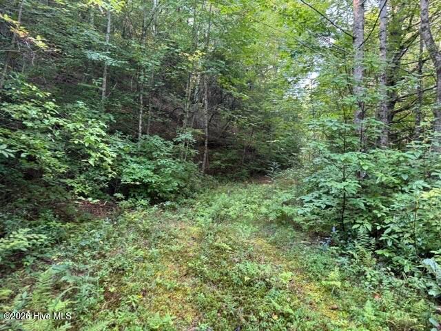 5 Tyler Lane, Marble, NC 28905