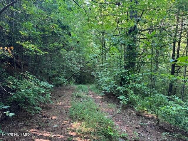 5 Tyler Lane, Marble, NC 28905