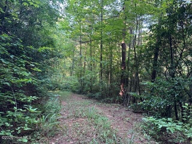 5 Tyler Lane, Marble, NC 28905
