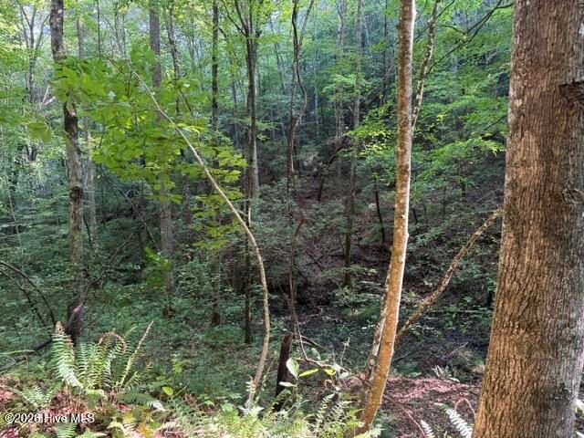 5 Tyler Lane, Marble, NC 28905