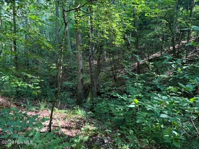 5 Tyler Lane, Marble, NC 28905