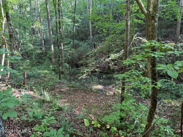 5 Tyler Lane, Marble, NC 28905