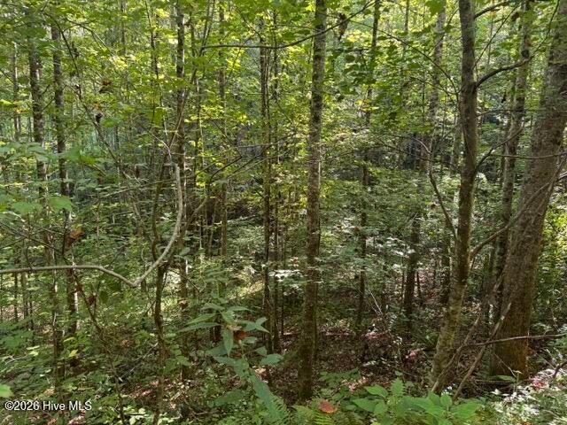 5 Tyler Lane, Marble, NC 28905