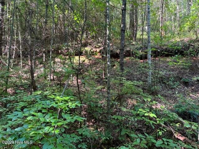 5 Tyler Lane, Marble, NC 28905
