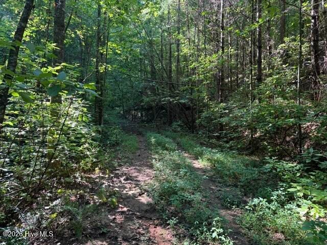 5 Tyler Lane, Marble, NC 28905