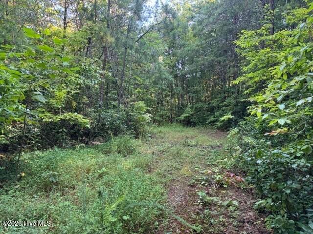 5 Tyler Lane, Marble, NC 28905