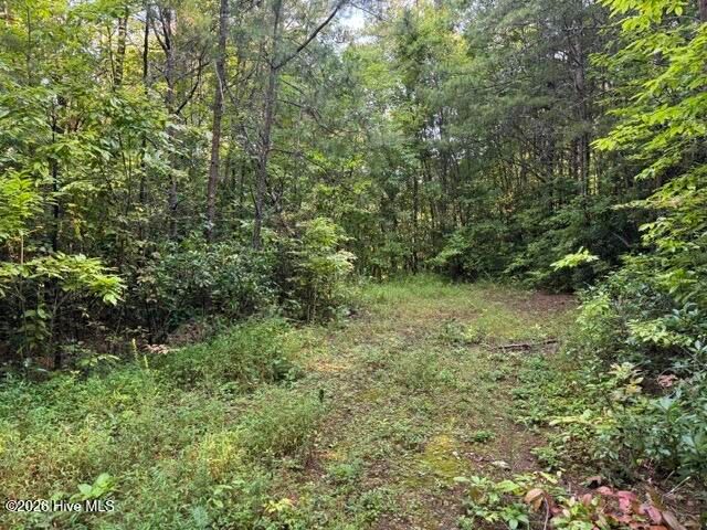 5 Tyler Lane, Marble, NC 28905
