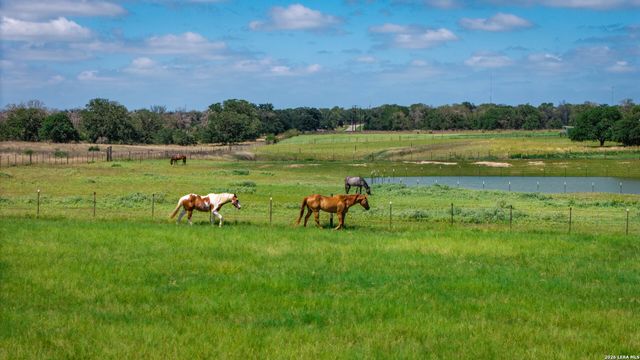 247 S Palo Alto, Floresville, TX 78114