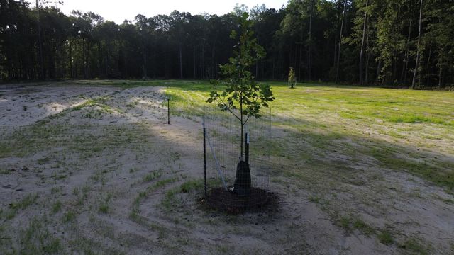 379 Fish Road Estates Lane, Ridgeville, SC 29472