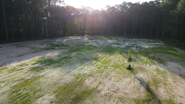 379 Fish Road Estates Lane, Ridgeville, SC 29472