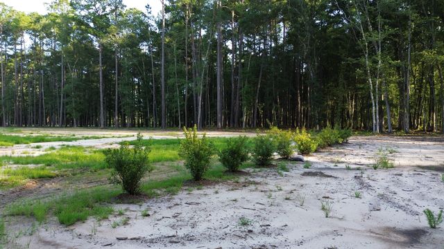 379 Fish Road Estates Lane, Ridgeville, SC 29472