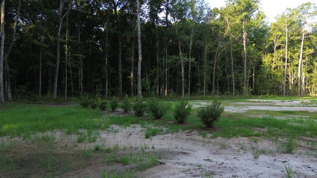 379 Fish Road Estates Lane, Ridgeville, SC 29472