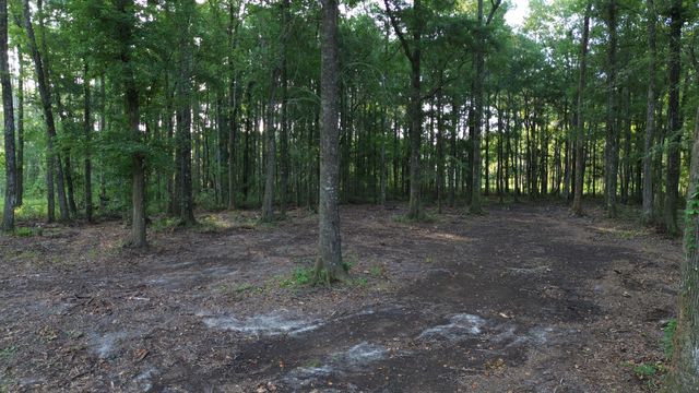 379 Fish Road Estates Lane, Ridgeville, SC 29472