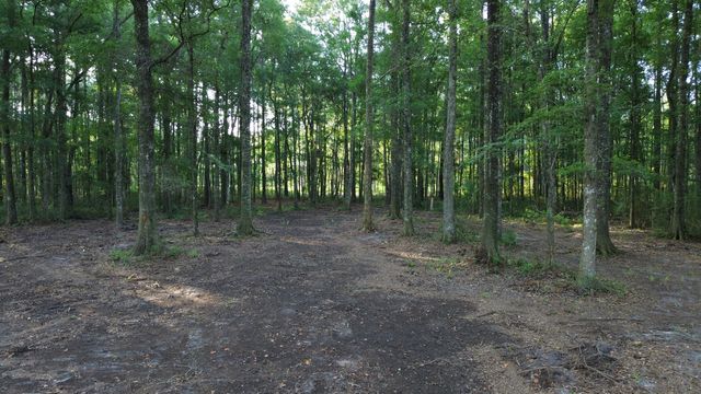 379 Fish Road Estates Lane, Ridgeville, SC 29472