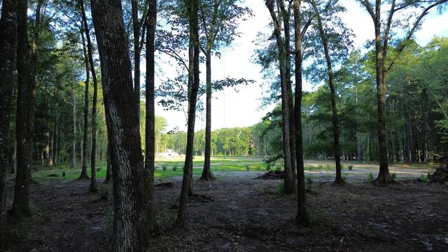 379 Fish Road Estates Lane, Ridgeville, SC 29472