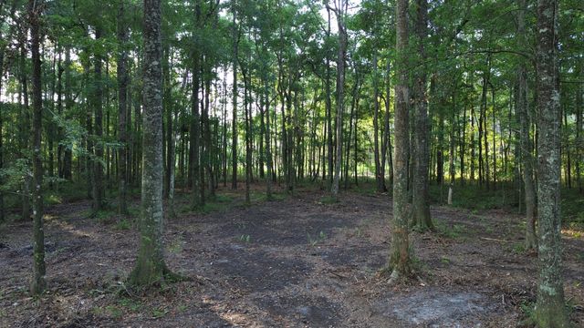379 Fish Road Estates Lane, Ridgeville, SC 29472