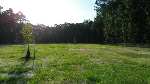 379 Fish Road Estates Lane, Ridgeville, SC 29472