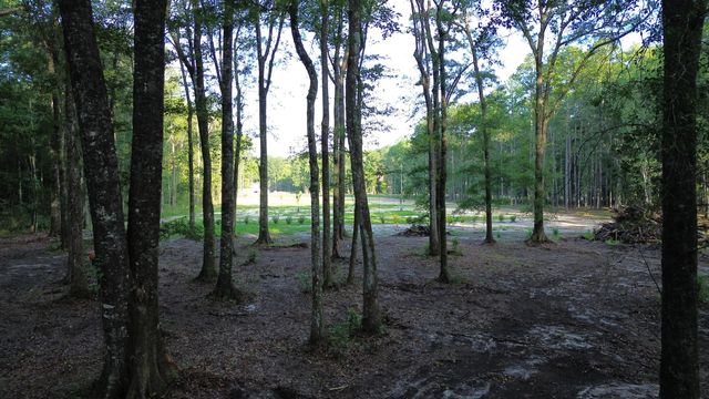 379 Fish Road Estates Lane, Ridgeville, SC 29472