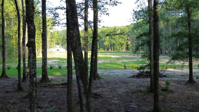 379 Fish Road Estates Lane, Ridgeville, SC 29472