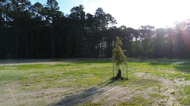 379 Fish Road Estates Lane, Ridgeville, SC 29472