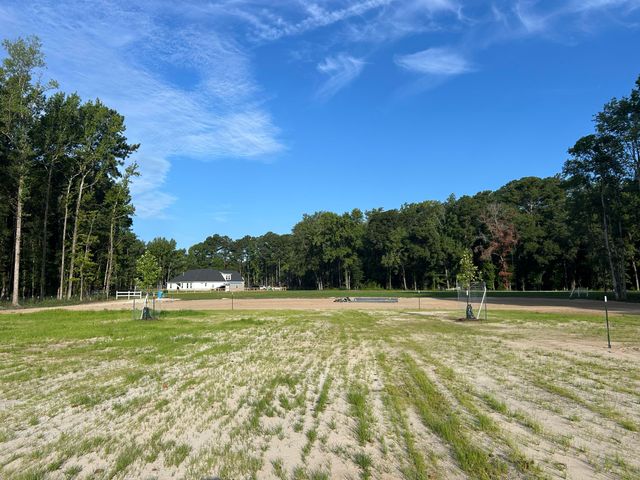 379 Fish Road Estates Lane, Ridgeville, SC 29472